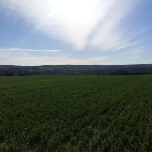 IMG-20190528-WA0048