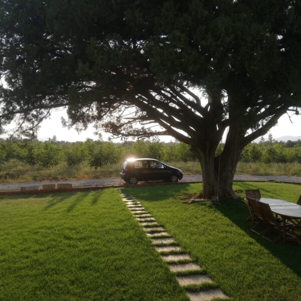 IMG-20211211-WA0013